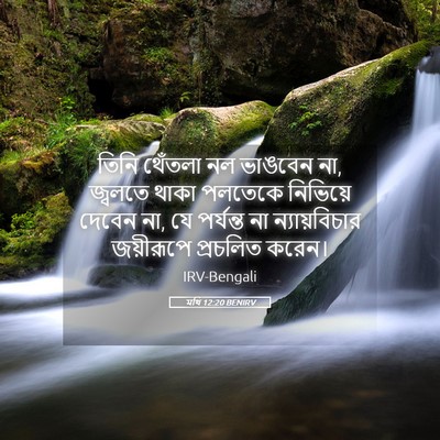 Picture 05 - মথি 12:20 BENIRV - তিনি থেঁতলা নল - Bible Verse Picture