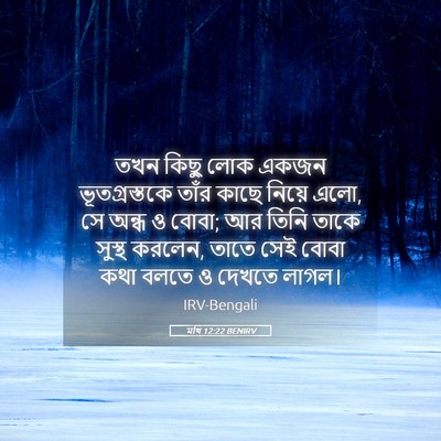 Picture 05 - মথি 12:22 BENIRV - তখন কিছু লোক একজন - Bible Verse Picture