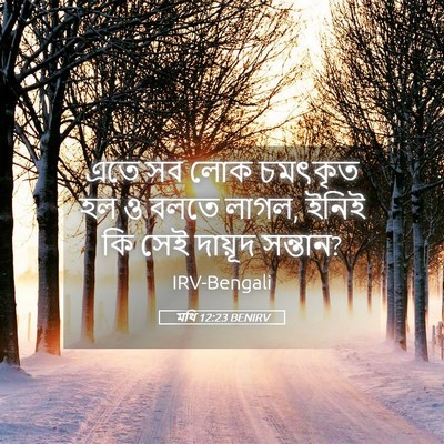 Picture 05 - মথি 12:23 BENIRV - এতে সব লোক চমৎকৃত - Bible Verse Picture