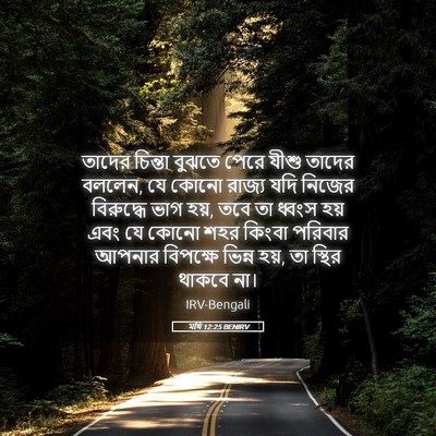 Picture 05 - মথি 12:25 BENIRV - তাদের চিন্তা - Bible Verse Picture
