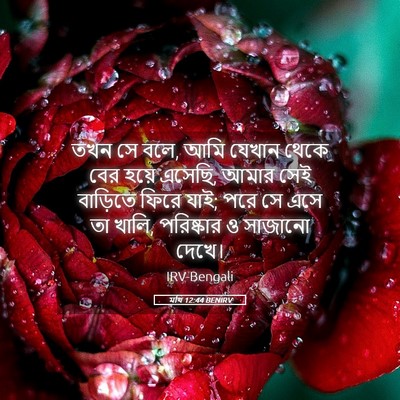 Picture 05 - মথি 12:44 BENIRV - তখন সে বলে, আমি - Bible Verse Picture