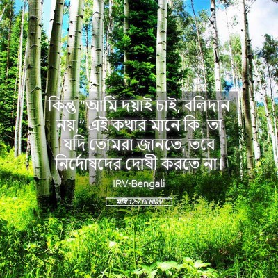 Picture 05 - মথি 12:7 BENIRV - কিন্তু “আমি দয়াই - Bible Verse Picture