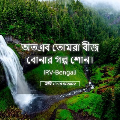 Picture 05 - মথি 13:18 BENIRV - অতএব তোমরা বীজ - Bible Verse Picture