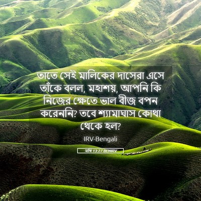 Picture 05 - মথি 13:27 BENIRV - তাতে সেই মালিকের - Bible Verse Picture