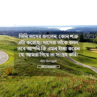 Picture 05 - মথি 13:28 BENIRV - তিনি তাদের বললেন, - Bible Verse Picture