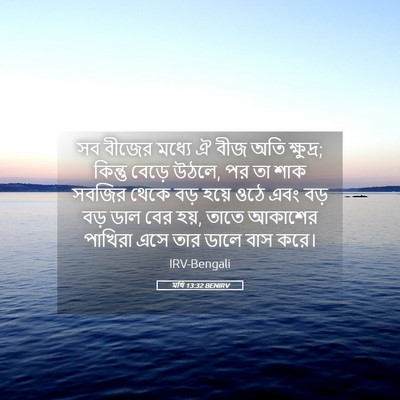 Picture 05 - মথি 13:32 BENIRV - সব বীজের মধ্যে ঐ - Bible Verse Picture