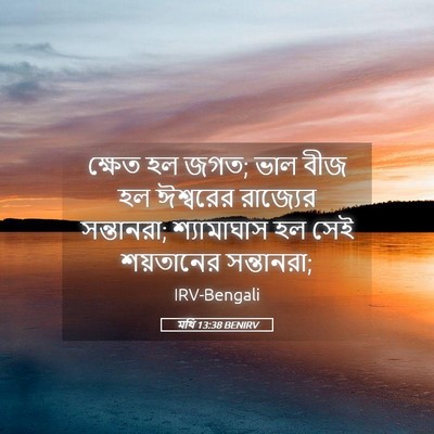 Picture 05 - মথি 13:38 BENIRV - ক্ষেত হল জগত; ভাল - Bible Verse Picture