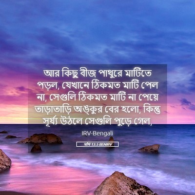 Picture 05 - মথি 13:5 BENIRV - আর কিছু বীজ পাথুরে - Bible Verse Picture