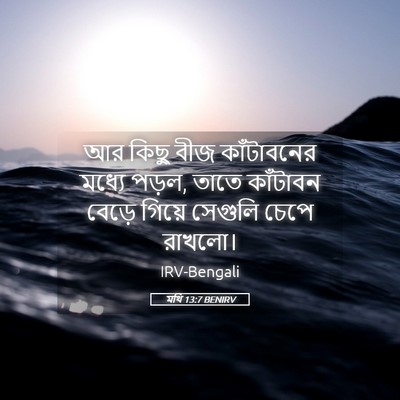 Picture 05 - মথি 13:7 BENIRV - আর কিছু বীজ - Bible Verse Picture