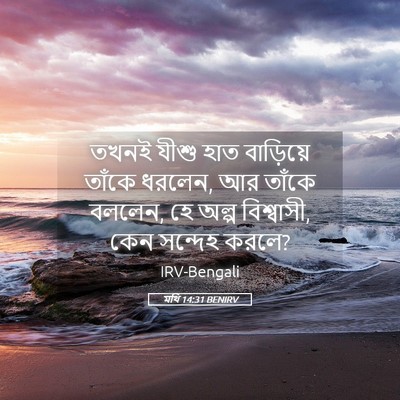 Picture 05 - মথি 14:31 BENIRV - তখনই যীশু হাত - Bible Verse Picture
