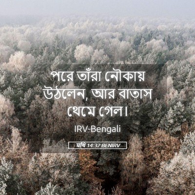 Picture 05 - মথি 14:32 BENIRV - পরে তাঁরা নৌকায় - Bible Verse Picture