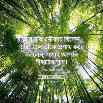 Picture 05 - মথি 14:33 BENIRV - আর যাঁরা নৌকায় - Bible Verse Picture