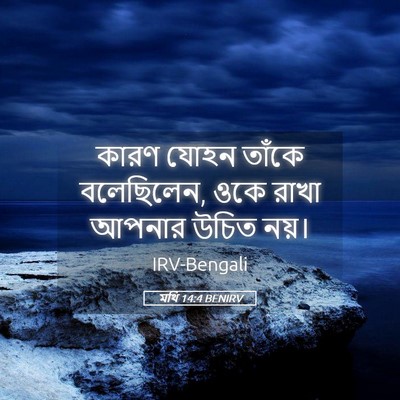 Picture 05 - মথি 14:4 BENIRV - কারণ যোহন তাঁকে - Bible Verse Picture