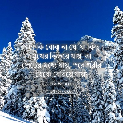 Picture 05 - মথি 15:17 BENIRV - এটা কি বোঝ না যে, যা - Bible Verse Picture