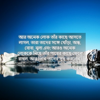 Picture 05 - মথি 15:30 BENIRV - আর অনেক লোক তাঁর - Bible Verse Picture