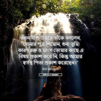 Picture 05 - মথি 16:17 BENIRV - তখন যীশু উত্তরে - Bible Verse Picture