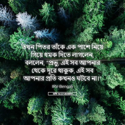Picture 05 - মথি 16:22 BENIRV - তখন পিতর তাঁকে এক - Bible Verse Picture