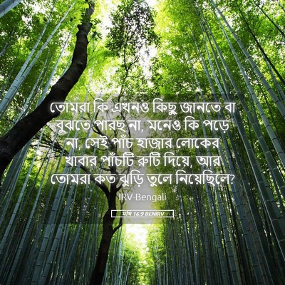 Picture 05 - মথি 16:9 BENIRV - তোমরা কি এখনও কিছু - Bible Verse Picture