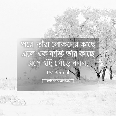 Picture 05 - মথি 17:14 BENIRV - পরে, তাঁরা লোকদের - Bible Verse Picture