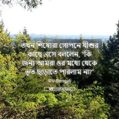 Picture 05 - মথি 17:19 BENIRV - তখন শিষ্যেরা - Bible Verse Picture