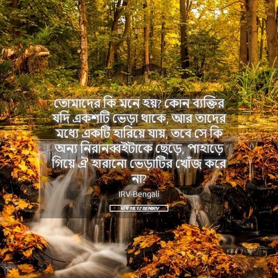 Picture 05 - মথি 18:12 BENIRV - তোমাদের কি মনে হয়? - Bible Verse Picture