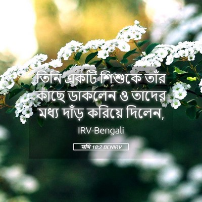 Picture 05 - মথি 18:2 BENIRV - তিনি একটি শিশুকে - Bible Verse Picture