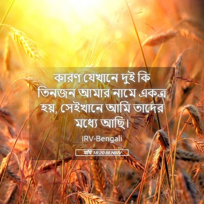 Picture 05 - মথি 18:20 BENIRV - কারণ যেখানে দুই কি - Bible Verse Picture