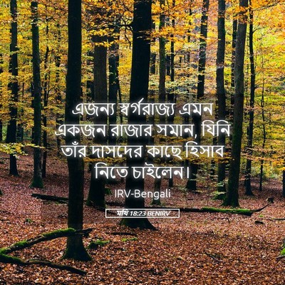 Picture 05 - মথি 18:23 BENIRV - এজন্য স্বর্গরাজ্য - Bible Verse Picture