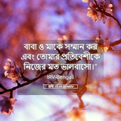 Picture 05 - মথি 19:19 BENIRV - বাবা ও মাকে সম্মান - Bible Verse Picture