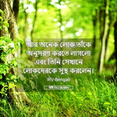 Picture 05 - মথি 19:2 BENIRV - আর অনেক লোক তাঁকে - Bible Verse Picture