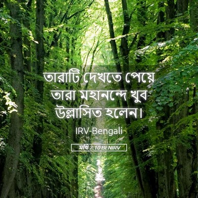Picture 05 - মথি 2:10 BENIRV - তারাটি দেখতে - Bible Verse Picture