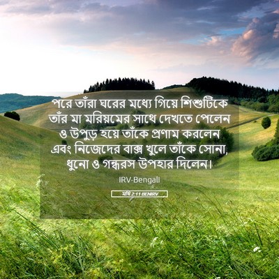 Picture 05 - মথি 2:11 BENIRV - পরে তাঁরা ঘরের - Bible Verse Picture