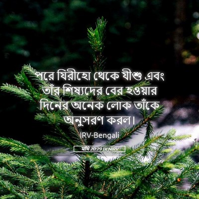 Picture 05 - মথি 20:29 BENIRV - পরে যিরীহো থেকে - Bible Verse Picture