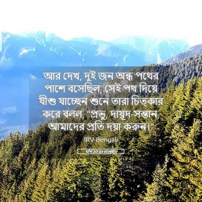 Picture 05 - মথি 20:30 BENIRV - আর দেখ, দুই জন অন্ধ - Bible Verse Picture