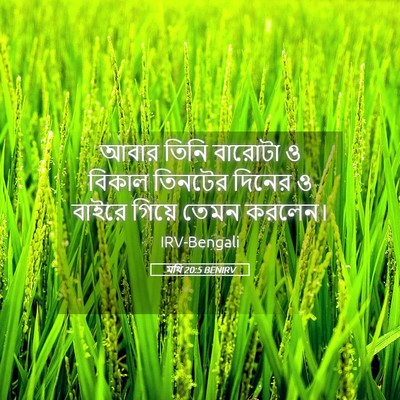 Picture 05 - মথি 20:5 BENIRV - আবার তিনি বারোটা ও - Bible Verse Picture