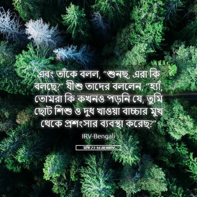 Picture 05 - মথি 21:16 BENIRV - এবং তাঁকে বলল, - Bible Verse Picture