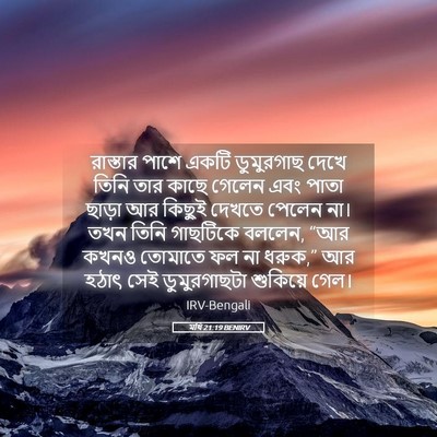 Picture 05 - মথি 21:19 BENIRV - রাস্তার পাশে একটি - Bible Verse Picture