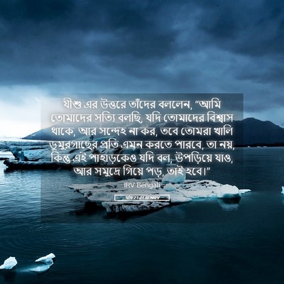 Picture 05 - মথি 21:21 BENIRV - যীশু এর উত্তরে - Bible Verse Picture