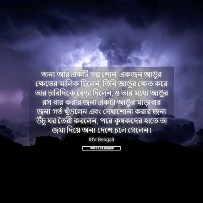 Picture 05 - মথি 21:33 BENIRV - অন্য আর একটি গল্প - Bible Verse Picture