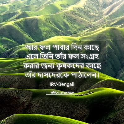 Picture 05 - মথি 21:34 BENIRV - আর ফল পাবার দিন - Bible Verse Picture