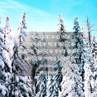 Picture 05 - মথি 21:35 BENIRV - তখন কৃষকেরা তাঁর - Bible Verse Picture