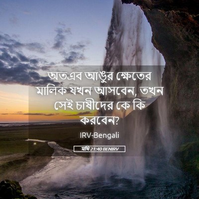 Picture 05 - মথি 21:40 BENIRV - অতএব আঙুর ক্ষেতের - Bible Verse Picture