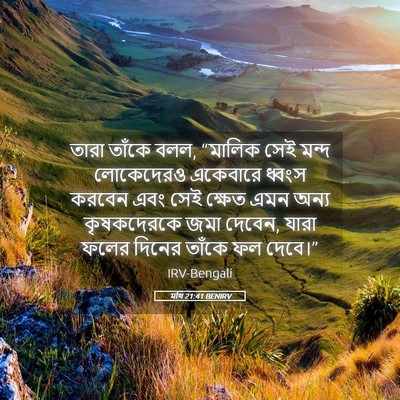 Picture 05 - মথি 21:41 BENIRV - তারা তাঁকে বলল, - Bible Verse Picture