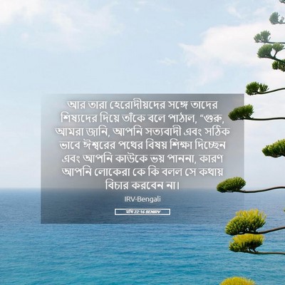 Picture 05 - মথি 22:16 BENIRV - আর তারা - Bible Verse Picture