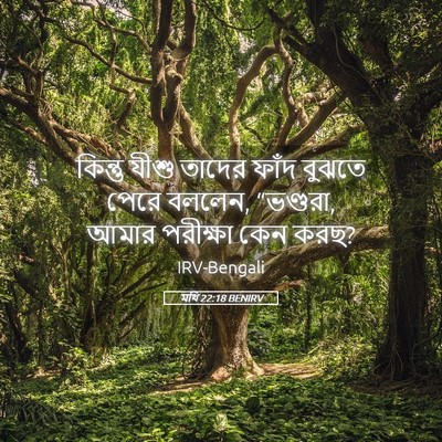 Picture 05 - মথি 22:18 BENIRV - কিন্তু যীশু তাদের - Bible Verse Picture