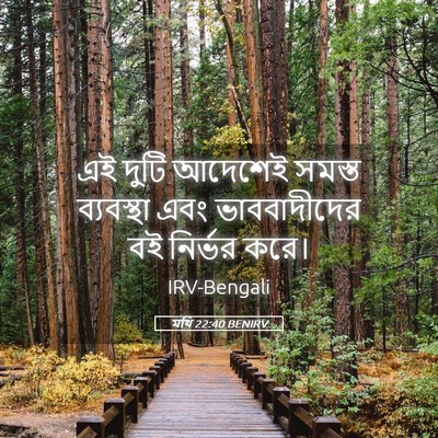 Picture 05 - মথি 22:40 BENIRV - এই দুটি আদেশেই - Bible Verse Picture