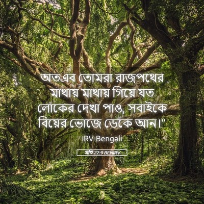 Picture 05 - মথি 22:9 BENIRV - অতএব তোমরা - Bible Verse Picture