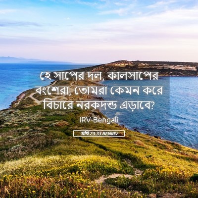 Picture 05 - মথি 23:33 BENIRV - হে সাপের দল, - Bible Verse Picture