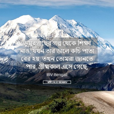 Picture 05 - মথি 24:32 BENIRV - ডুমুরগাছের গল্প - Bible Verse Picture