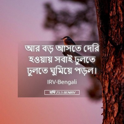 Picture 05 - মথি 25:5 BENIRV - আর বড় আসতে দেরি - Bible Verse Picture